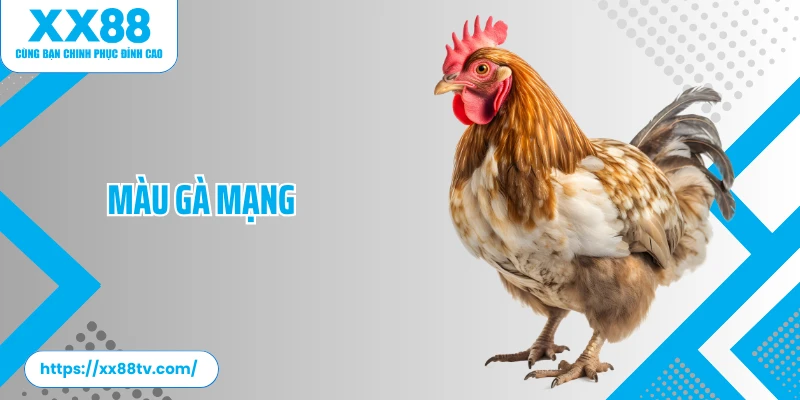 Màu Gà Mạng - Tuyệt Chiêu Chọn Gà Chiến Chuẩn Xác 